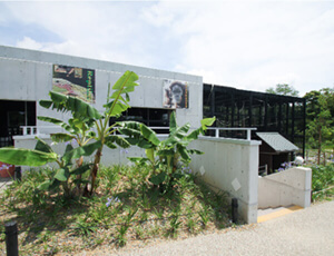 豊橋総合動植物公園 オランウータン舎