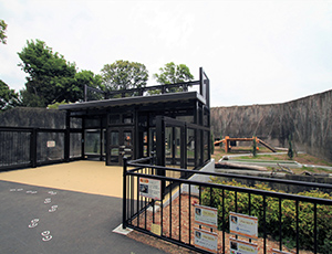 豊橋総合動植物公園 トラ舎